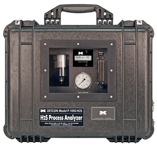 Detcon Portable Hydrogen Sulfide Analyzer, P-1000-H2S
